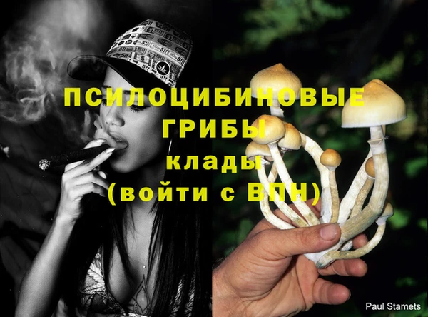 твердый Армянск